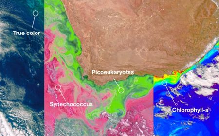 NASA Bagikan Hasil Pengamatan Bumi Pertama dari Satelit PACE