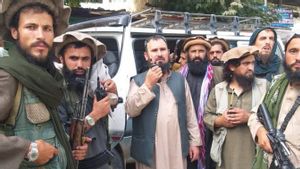 Qari Fasihuddin: Panglima Tentara Afghanistan Pilihan Taliban, Penakluk Utara yang Pertama Injak Panjshir
