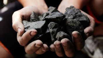 石炭とCPOの起業家にとって朗報、一次産品価格は2023年まで引き続き高止まり