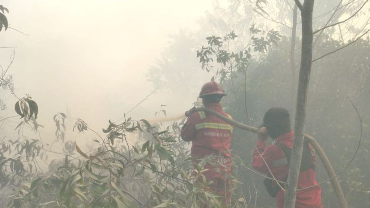 라우이 카후트라 면적은 1월 이후 1,041헥타르에 달했다.