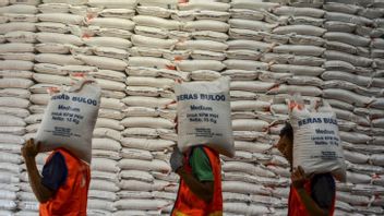 Bulog Has Pocketed Import Contracts Of 1 Million Tons Of Rice, Which Country Did It Come From?