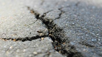 Ada Ratusan WNI di Prefektur Aomori yang Diguncang Gempa, KBRI Tokyo Imbau Pantau Situasi