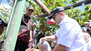 BRIN Ubah Sampah jadi Bahan Bakar Alternatif Petasol