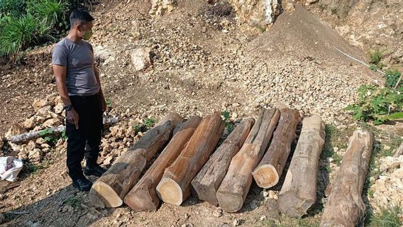 2 DPOs Of Illegal Logging In Malang Arrested By Police