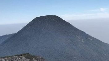 Jalur Pendakian ke Gunung Gede-Pangrango Kembali Dibuka