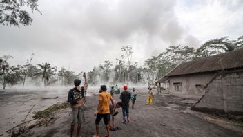 Le Président Jokowi Demain à Lumajang Examinera Les Dernières Conditions Après L’éruption Du Semeru