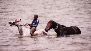 Meretas Mimpi Menjadi Joki Berkuda Internasional dari Sabana di Senegal