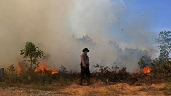 15人がリアウ州の森林火災と土地火災の容疑者