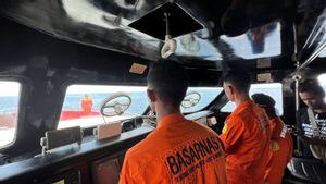 Alarm Tanda Bahaya, Basarnas RI Nyatakan Siaga Hadapi Tsunami Imbas Gempa M 8,7 Rusia