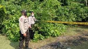 Bule Polandia di Kuta Selatan Bali Tewas Gantung Diri di Pohon