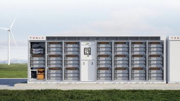 特斯拉正在与比亚迪的FinDreams合作,这将向上海Megafactory供应电池单元
