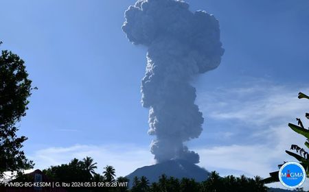 Erupsi Gunung Ibu Lontarkan Abu Vulkanik 5 KM, Warga Sekitar Diminta Gunakan Masker