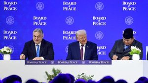 Gabung Board of Peace Bentukan Trump Diklaim Wujud Komitmen RI untuk Palestina