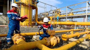 Sesuai Kebijakan Danantara, Komisi VI DPR Dukung Integrasi 3 Subholding Pertamina