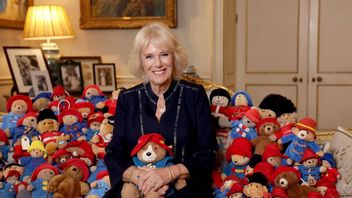 英国王室向儿童慈善机构捐赠1000多只泰迪熊