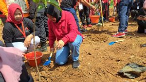 Tanami Pohon di Tepi Kalimalang Bareng Kader PDIP, Risma: Selama Hasilkan Oksigen Kita Dapat Pahala