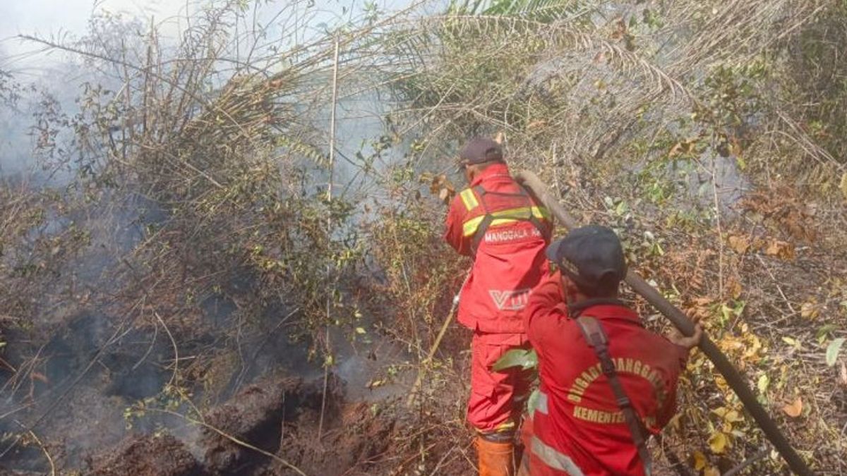 Manggala Agni Berjibaku Extinguishes Fire of 60 hectares of Land in Bengkalis