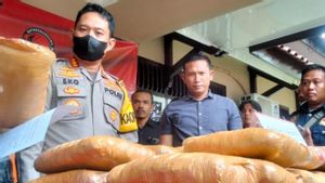 Polresta Jambi Tangkap Dua Pengedar Ganja dan Amankan 45,7 Kg Barang Bukti
