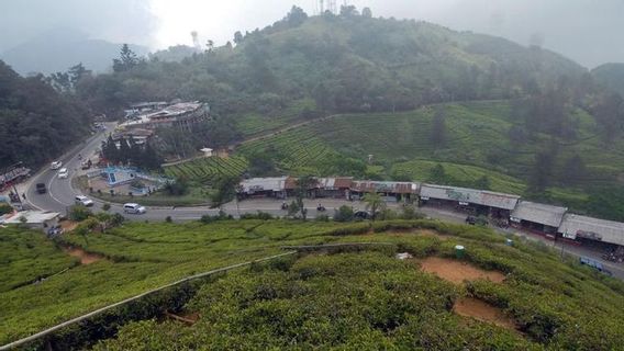 <i>One Way</i> Arah Jakarta Sejak Siang, 20 Ribu Kendaraan Keluar Kawasan Puncak Bogor Hari Ini