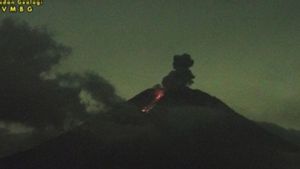 Gunung Semeru Erupsi Senin Malam