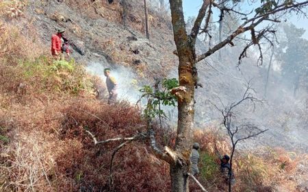 Hasil Pemantauan TNGR, 5 Titik Api Masih Ada di Bagian Utara Gunung Rinjani