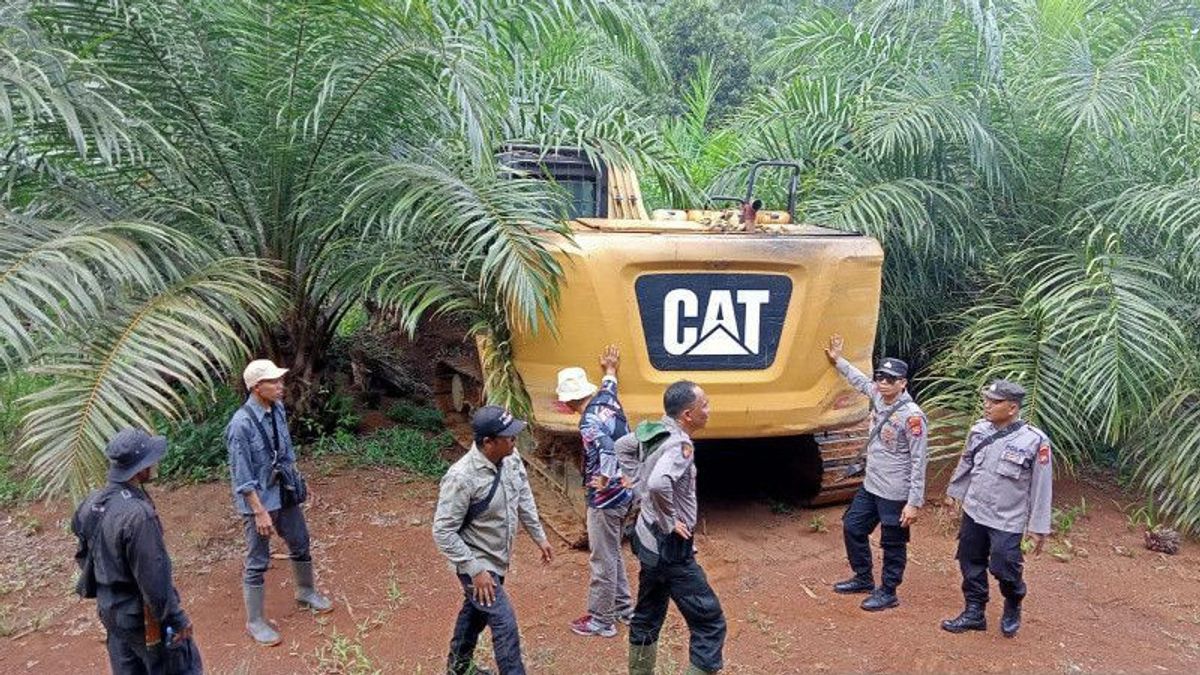 Perambahan Liar Hutan Konservasi di Mukomuko Bakal Diusut Penyidik DLHK Bengkulu, Pemilik Lahan akan Dipanggil