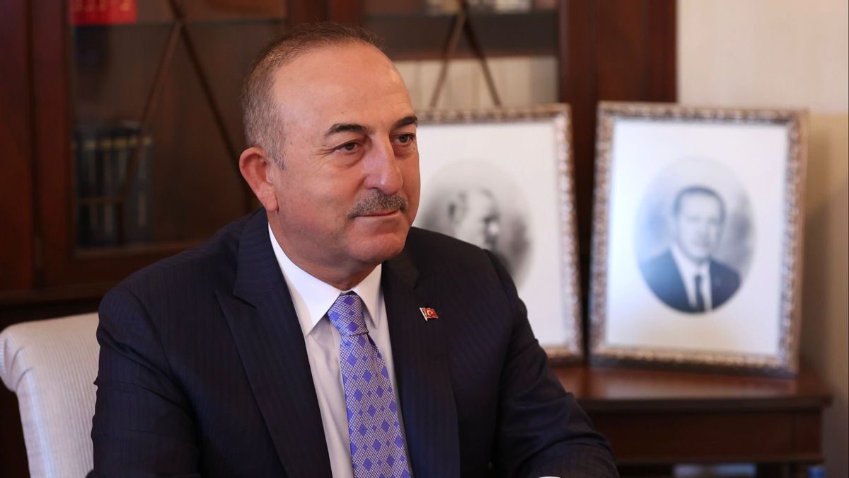 ゼレンスキー大統領とプーチンの平和のための統一努力を続ける、トルコ外務大臣:戦争には勝者がない