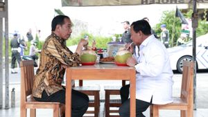 Jokowi-Prabowo Makan Bakso Bareng Dinilai Sedang Mengancam Anies dan Ganjar