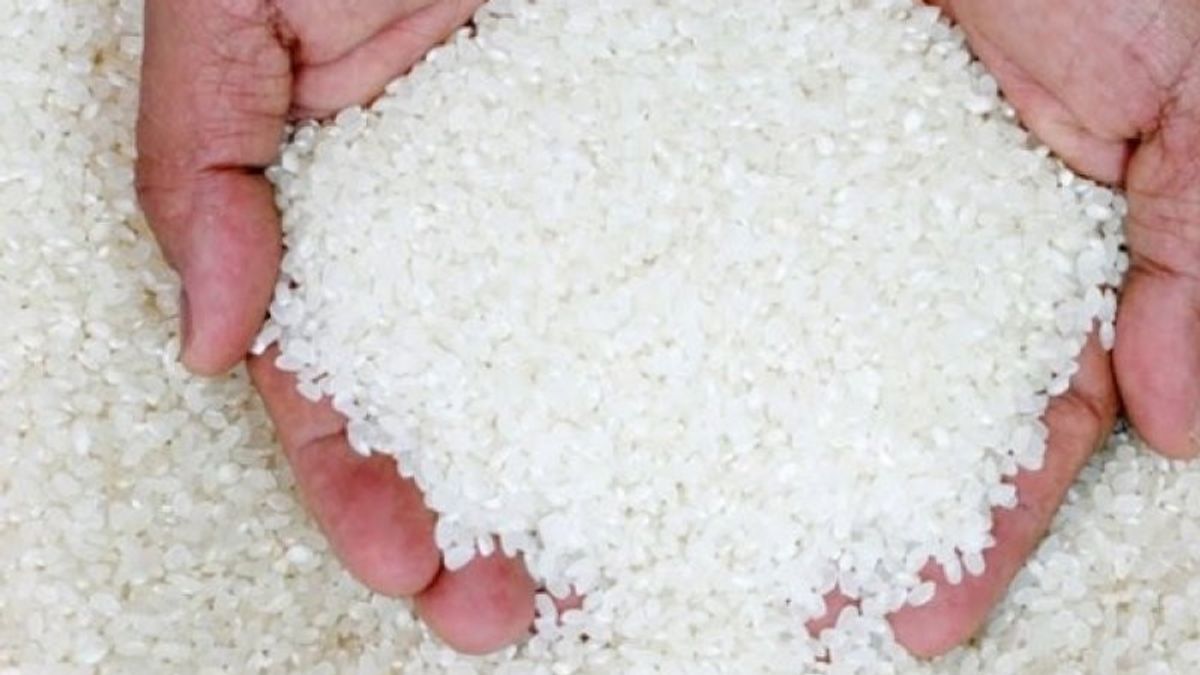Rice Premium Langka, Food Station commence à distribuer 1000 tonnes au commerce de détail à Jabodetabek