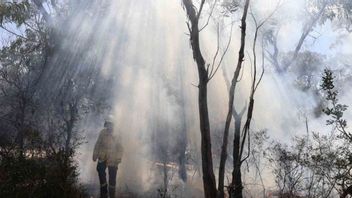 Titik Panas di Sumbar Meningkat, Pemrov Minta Petugas Siaga Kebakaran Hutan