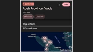 Google Aktifkan Label SOS untuk Pencarian Bencana di Aceh, Sumut, dan Sumbar 