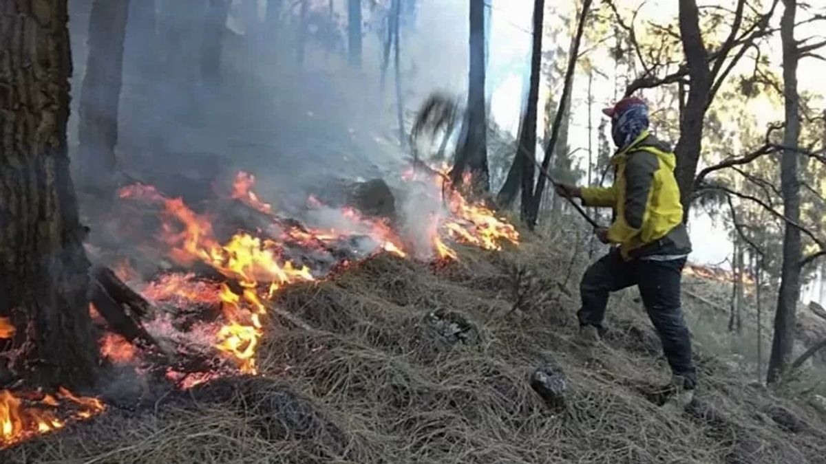 Polisi Ungkap 10 Kasus Pembakaran Lahan dan Hutan di Kalteng, 12 Pelaku Diamankan