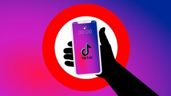 Republican Senators Question Joe Biden's Government Willingness To Protect TikTok User Data