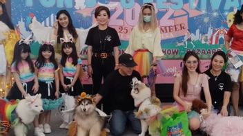 The Jakarta Dog Show 2022 Flooded With Interests