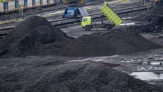 Having The Largest New Coal Reserves, PTBA Says It Can LAST Up To 100 Years