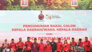 Drama Pilkada Jakarta 2024: Investasi Jangka Panjang PDIP dan Anies Baswedan Tak Kebagian Panggung Politik