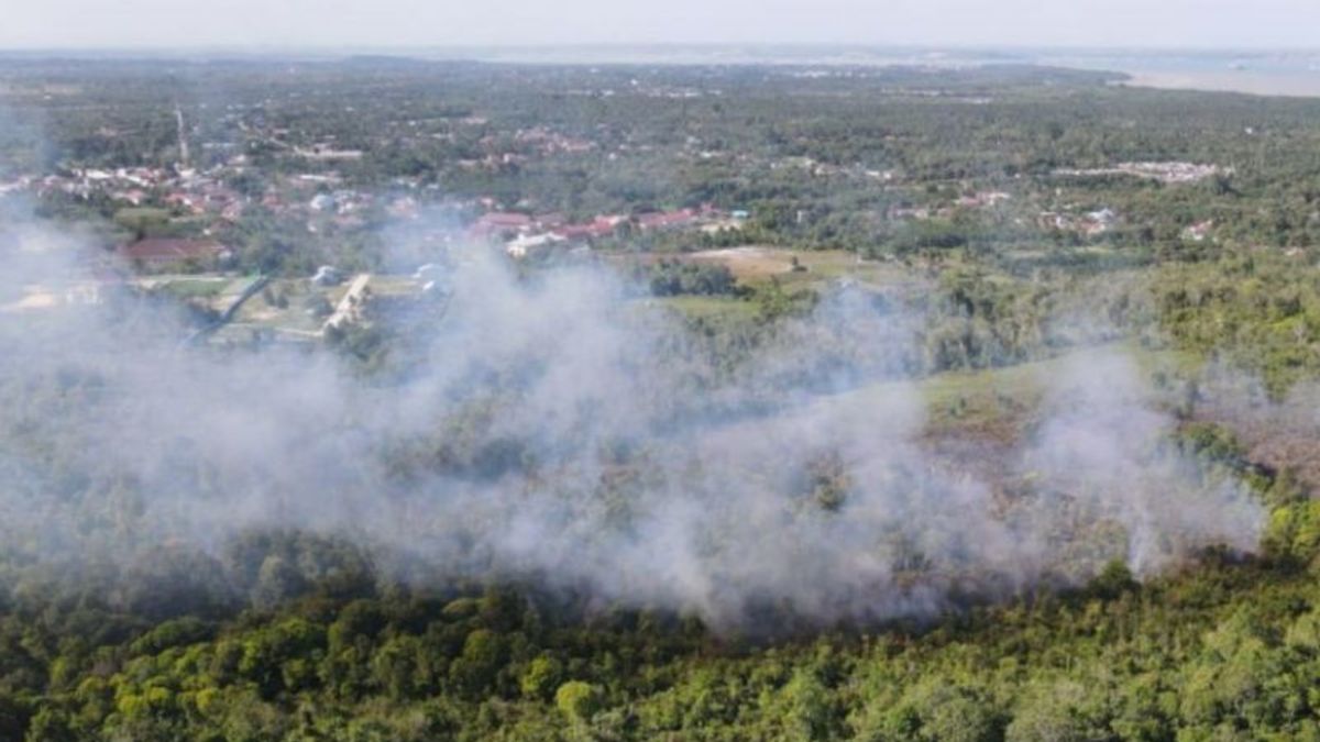Les points chauds de Kaltim sont en baisse, BMKG reste vigilant pour les incendies de forêt