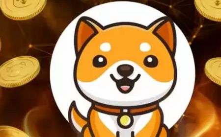 Koin Meme BABYDOGE Luncurkan Kartu Virtual, Hasil Kerja Sama dengan FCF Pay