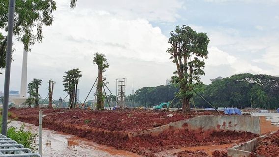 Searching For The Existence Of Logging Trees From Monas Revitalization