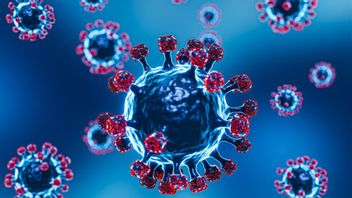 Virus Subclade K Muncul, Musim Flu Diprediksi Lebih Berat dari Perkiraan
