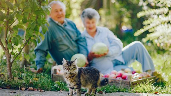 Les recherches pour sauver des animaux sont bénéfiques pour réduire le stress