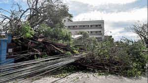 Topan Kajiki Renggut Nyawa 8 Orang termasuk Satu di Thailand
