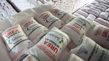 Ministry Of Agriculture Ready To Fulfill National Fertilizer Needs