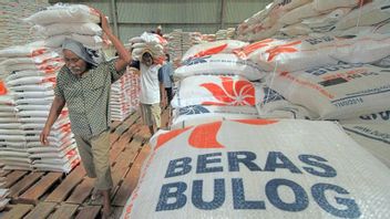Bulogは年末まで十分な米の在庫を確保し、その量は60万トンです