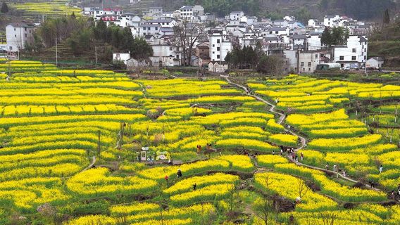 感情的な観光が中国の新しいトレンドになり、観光客はもはや景色を追いかけない