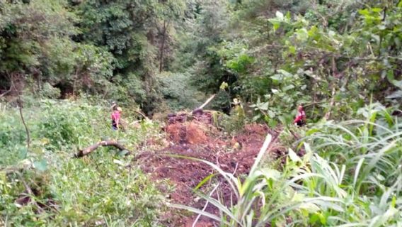 Drivers Of Trucks Entering Lost Trends In Padang