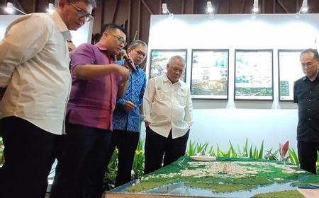 AS, China, dan Jepang Tawarkan Rancang Desain Ibu Kota Baru Indonesia