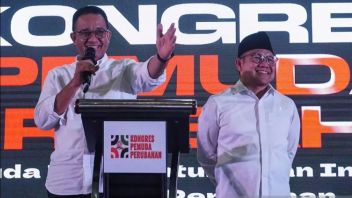 Anies Grateful To Pair With Cak Imin: Nothing To Hide, Long Track Record