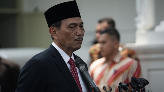 Kondisi 10 Provinsi yang Ditangani Luhut: Kasus COVID-19 Turun, Angka Kematian Meningkat