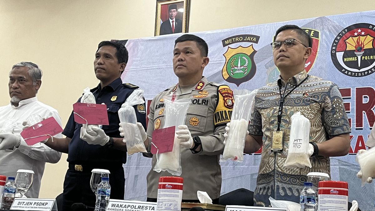 Polisi Gagalkan Penyelundupan 85 Ribu Ekor Benih Lobster Lewat Bandara Soetta